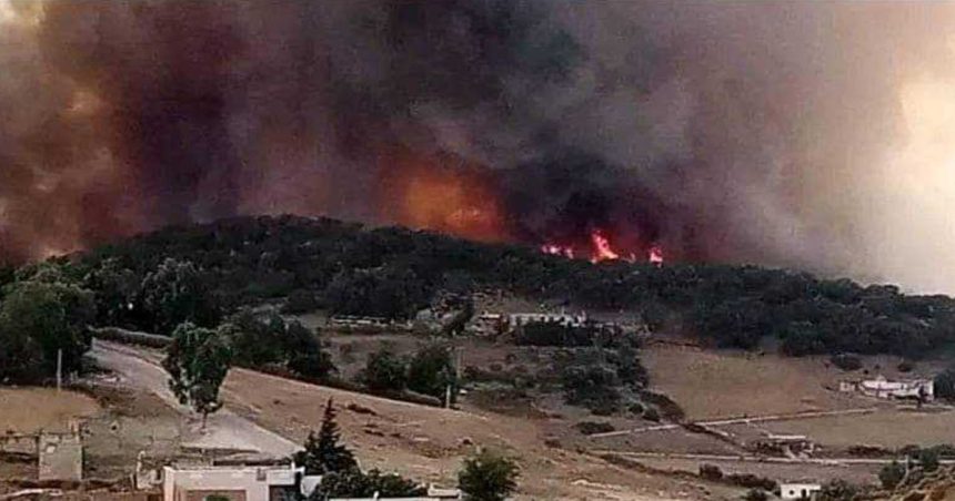 Tunisie : L’incendie de Sejnane en grande partie maîtrisé