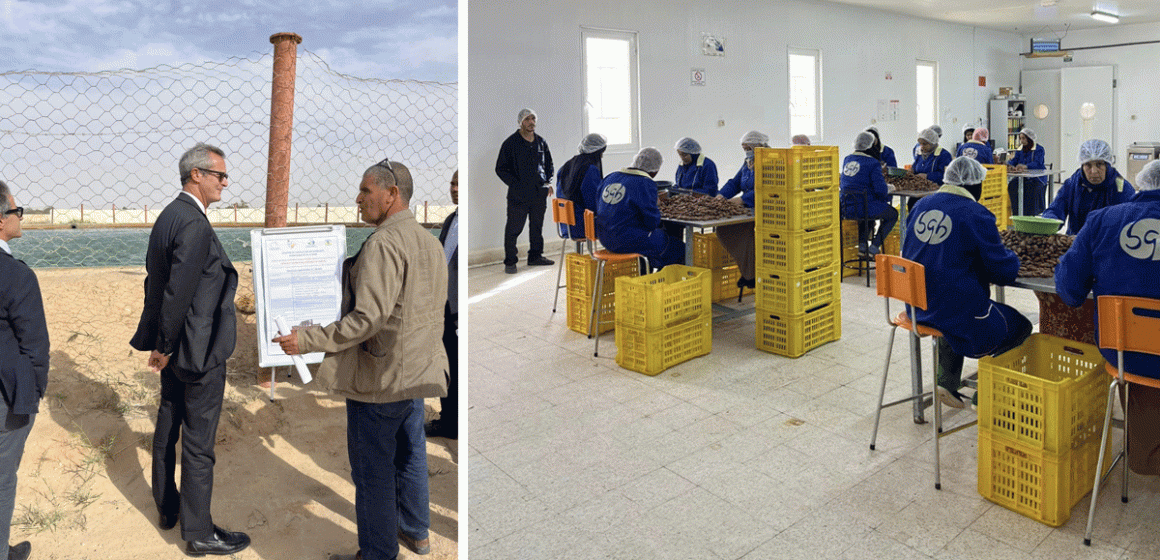 Tunisie-Italie : l’ambassadeur Prunas visite le bio-territoire à Hazoua