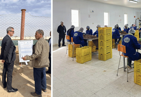 Tunisie-Italie : l’ambassadeur Prunas visite le bio-territoire à Hazoua