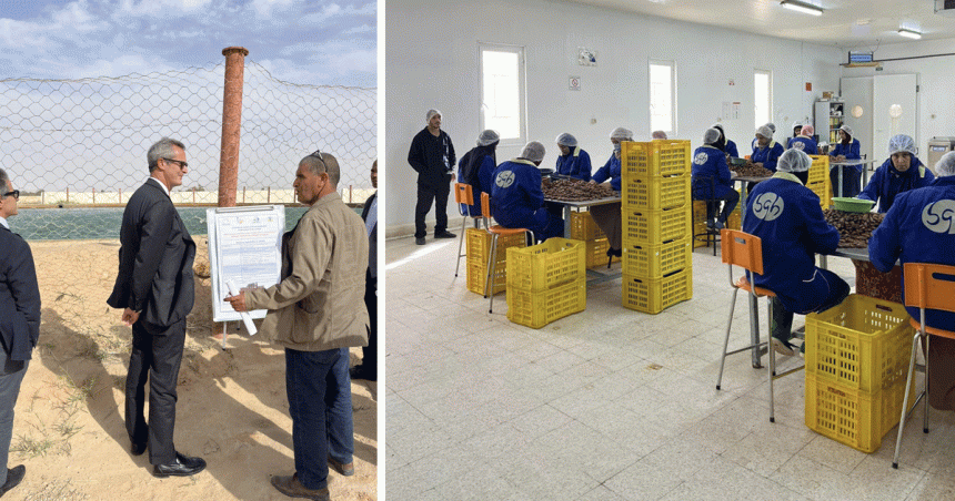 Tunisie-Italie : l’ambassadeur Prunas visite le bio-territoire à Hazoua