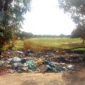 Pollution plastique | Un fléau qui s’aggrave en Tunisie