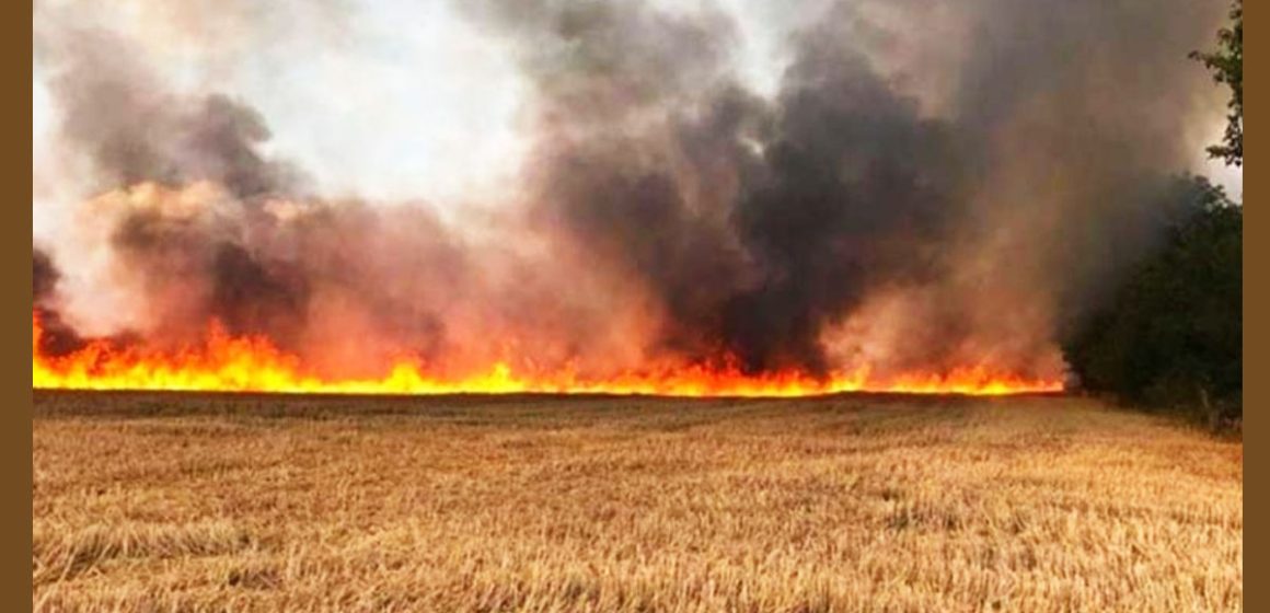 Béja : Incendie détruit plus de 700 bottes de foin