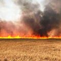 Béja : Incendie détruit plus de 700 bottes de foin