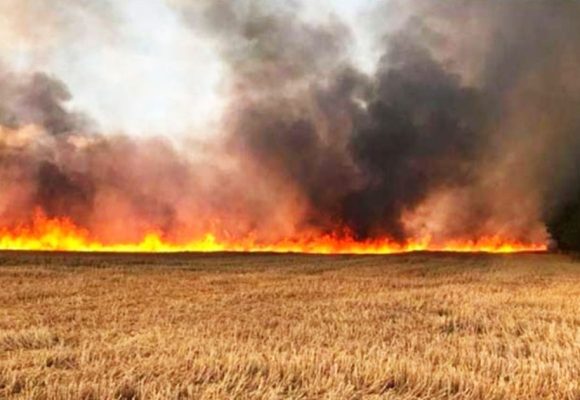 Béja : Incendie détruit plus de 700 bottes de foin