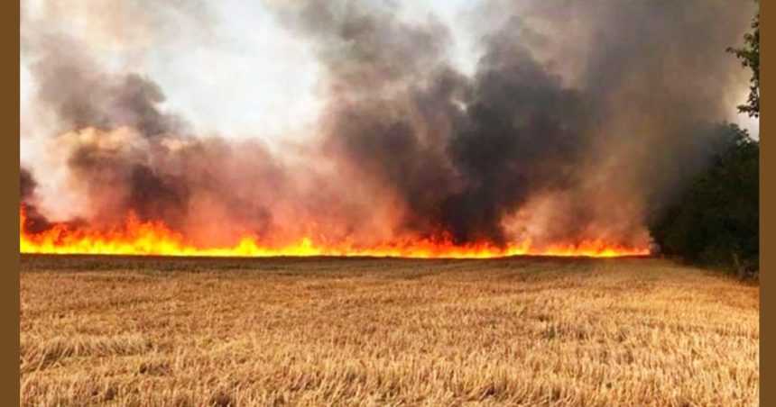 Béja : Incendie détruit plus de 700 bottes de foin