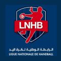 Handball : composition du nouveau bureau de LNHB