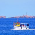 Randonnée : Les îles Cani, un trésor naturel dans le golfe de Tunis