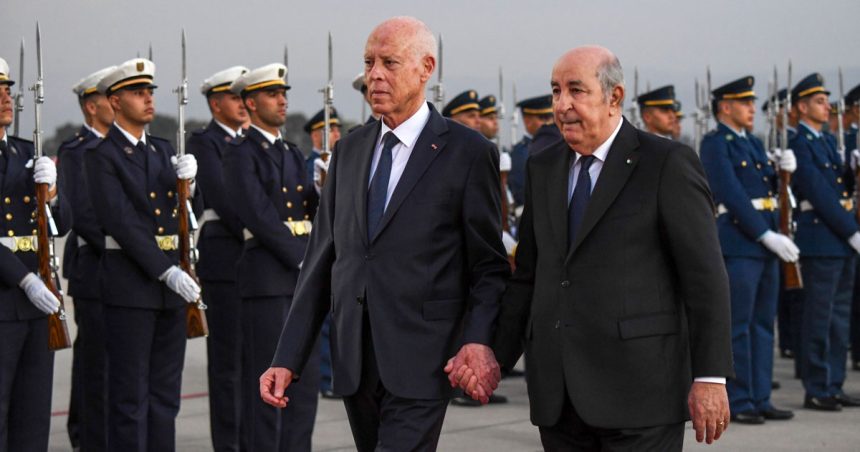 Tunisie-Algérie : main dans la main, d’un même pas  (vidéo)
