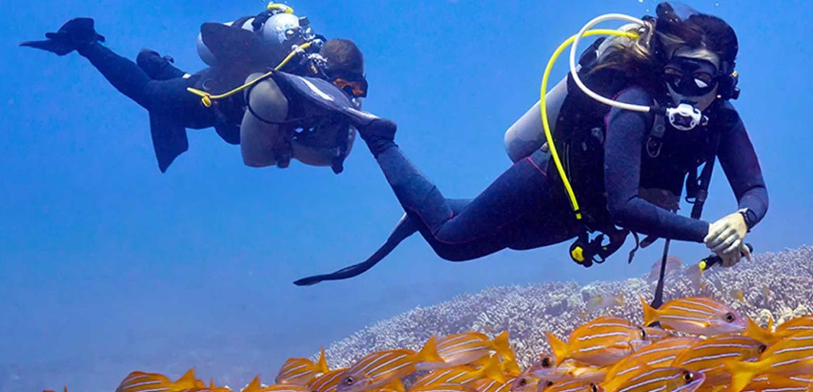 Le management des risques en plongée sous-marine
