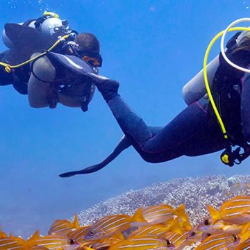 Le management des risques en plongée sous-marine