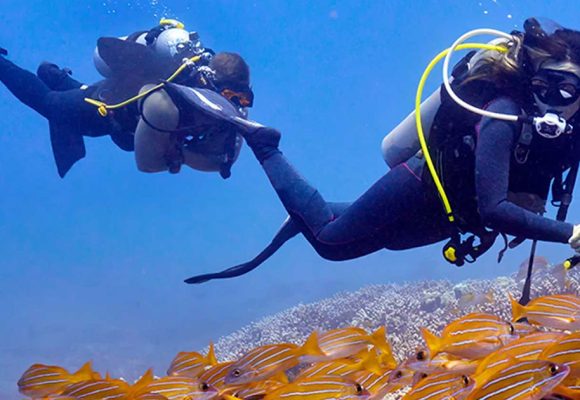 Le management des risques en plongée sous-marine