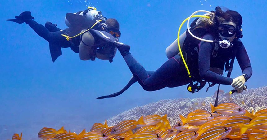 Le management des risques en plongée sous-marine