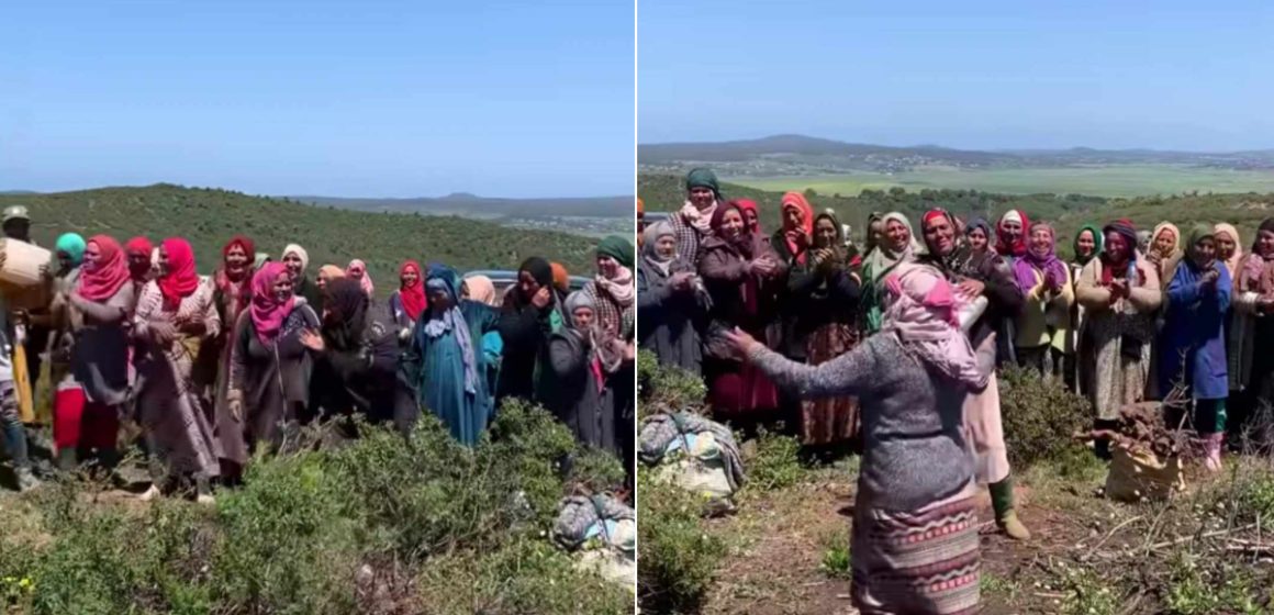 Reboisement- 100.000 arbres plantés : Le bonheur des femmes de Sejnane (Vidéo)