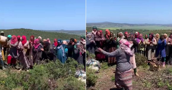 Reboisement- 100.000 arbres plantés : Le bonheur des femmes de Sejnane (Vidéo)