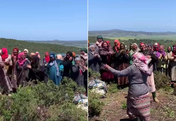 Reboisement- 100.000 arbres plantés : Le bonheur des femmes de Sejnane (Vidéo)