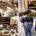 Démantèlement d’un réseau de trafic de drogue opérant dans le Grand-Tunis (Vidéo)