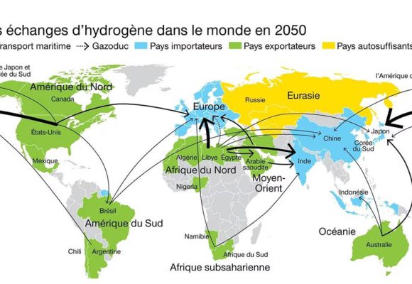 La Tunisie doit procéder à un audit écologique de ses choix industriels