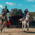 Le Djérid vibre aux rythmes du Festival des Oasis de Tozeur