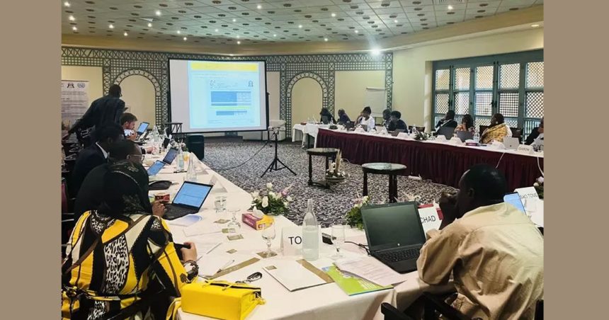 Industrie du froid et transition écologique en Tunisie et en Afrique