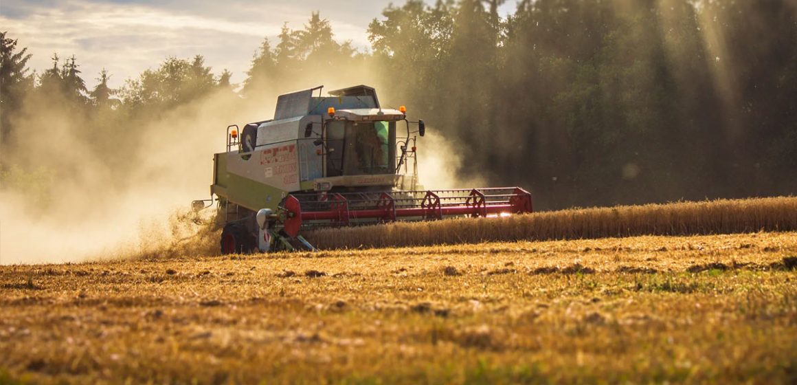 L’Italie en pole position dans la mécanisation agricole en Tunisie