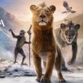 Projection du film « Mufasa : Le Roi Lion » à l’IFT (Bande-annonce)