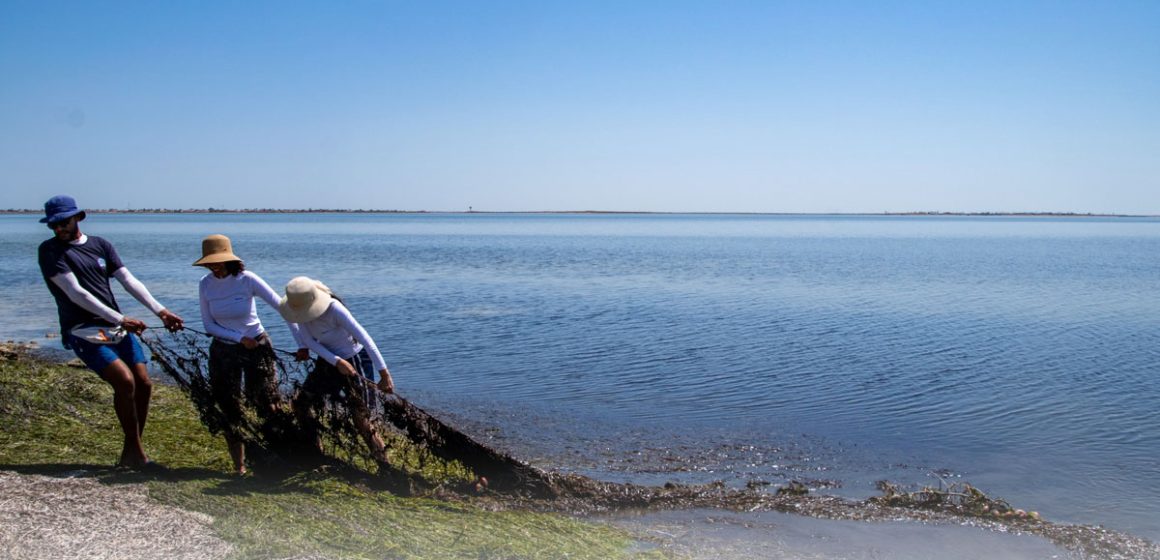 Les chalutiers continuent de détruire les fonds marins de l’archipel de Kerkennah