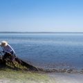 Les chalutiers continuent de détruire les fonds marins de l’archipel de Kerkennah