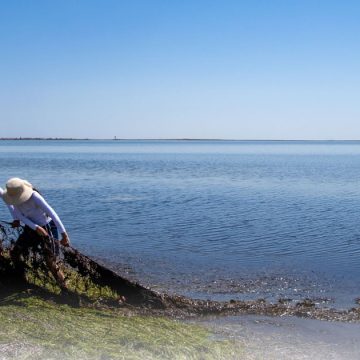 Les chalutiers continuent de détruire les fonds marins de l’archipel de Kerkennah