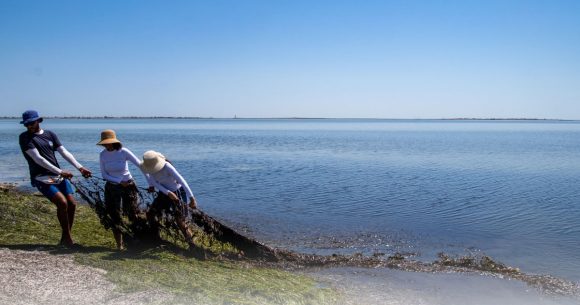 Soumoud pour renforcer la résilience climatique de Kerkennah