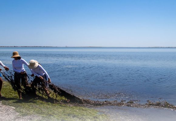 Les chalutiers continuent de détruire les fonds marins de l’archipel de Kerkennah