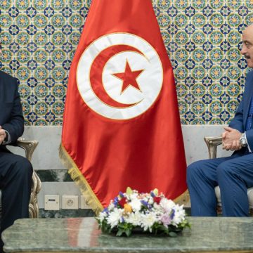 Tunisie-Ukraine : Mohamed Ali Nafti reçoit Maksym Subkh (MAE)