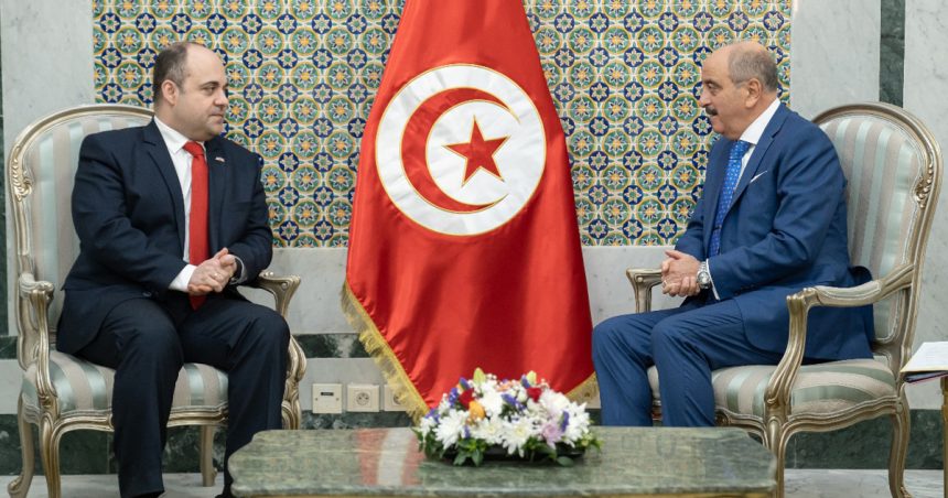 Tunisie-Ukraine : Mohamed Ali Nafti reçoit Maksym Subkh (MAE)