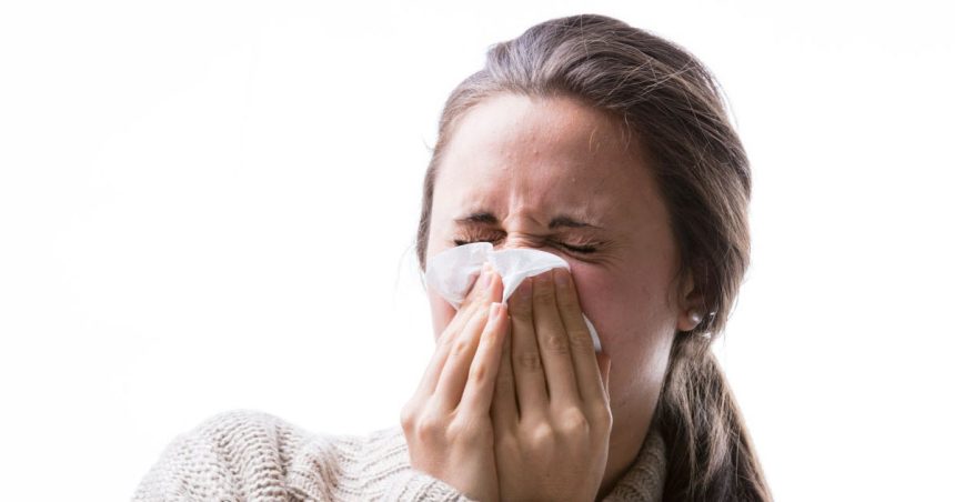 Le virus HMPV n’est pas présent en Tunisie et n’a pas de potentiel épidémique
