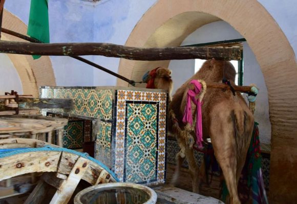 ‘‘Bled al Abar’’, un projet de valorisation des puits dans le désert tunisien