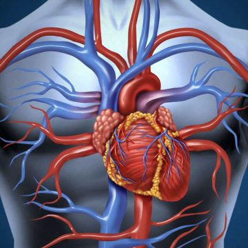 Les potins du cardiologue: le stenting du tronc commun, de l’extase à l’agonie