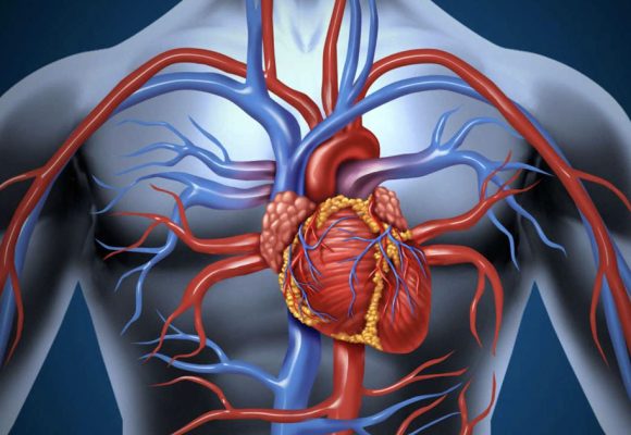 Les potins du cardiologue: le stenting du tronc commun, de l’extase à l’agonie