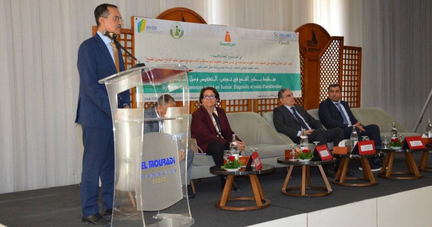 La Tunisie veut produire 550 000 quintaux de semences sélectionnés en 10 ans