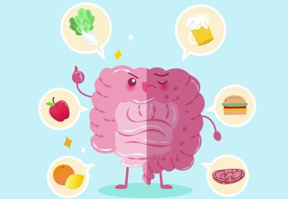 Journée scientifique : « Microbiote et Alimentation » à la Cité des sciences à Tunis