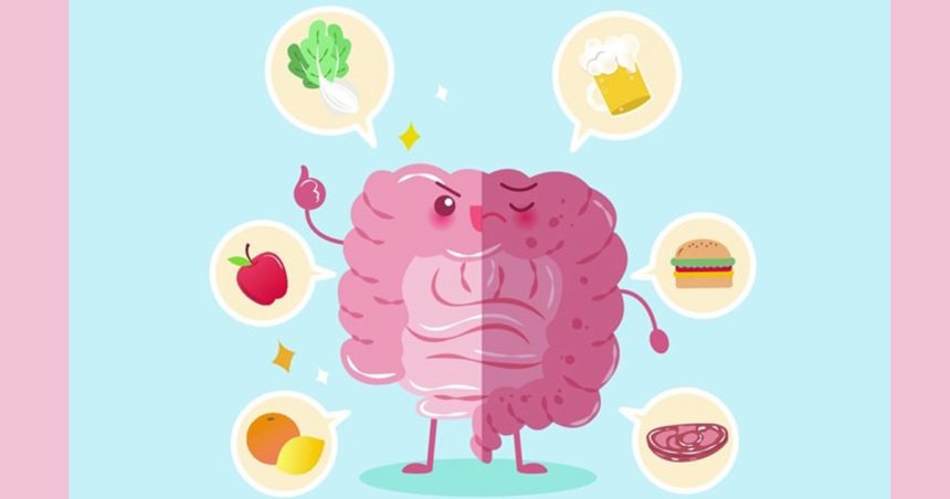Journée scientifique : « Microbiote et Alimentation » à la Cité des sciences à Tunis