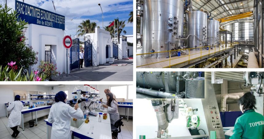 Bizerte, un pôle industriel entre l’Afrique et l’Europe