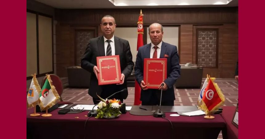 La Sonelgaz «prête à garantir la sécurité énergétique de la Tunisie»