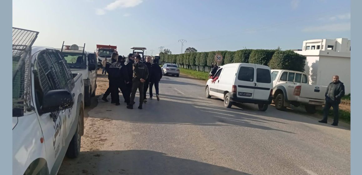 Irrigation avec des eaux non traitées : Destruction de 10 hectares de cultures à Bizerte