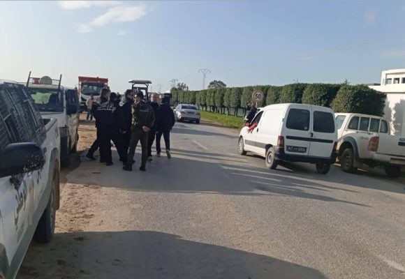 Irrigation avec des eaux non traitées : Destruction de 10 hectares de cultures à Bizerte