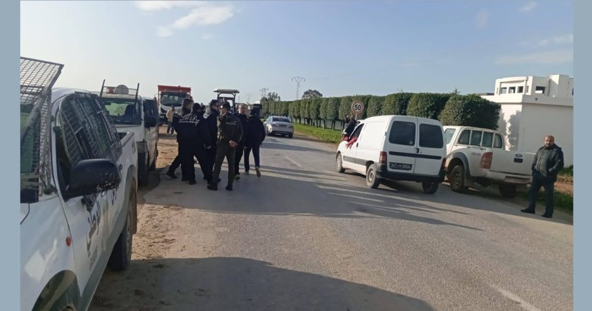 Irrigation avec des eaux non traitées : Destruction de 10 hectares de cultures à Bizerte