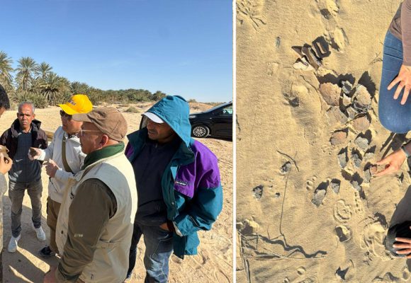 Tunisie : Découverte de plusieurs sites archéologiques à Tozeur (Photos)