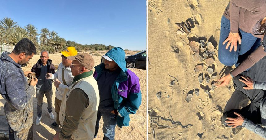 Tunisie : Découverte de plusieurs sites archéologiques à Tozeur (Photos)