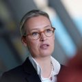 Alice Weidel, la figure avenante de l’extrême-droite allemande