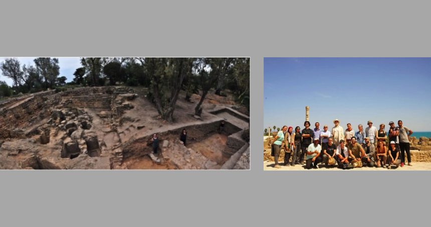 Nouvelles découvertes archéologiques sur le site de Carthage