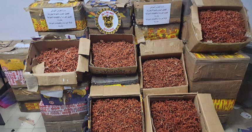 Près d’une tonne de corail, 1 kg d’or et des devises saisis à Bizerte