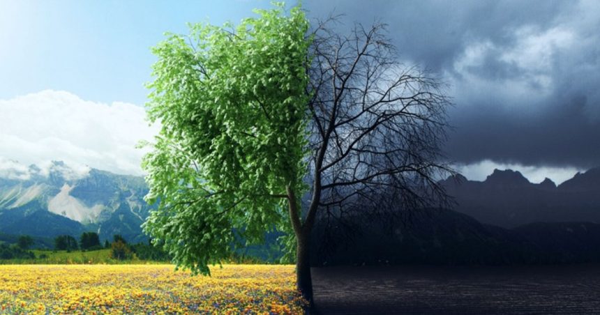 Paradoxe des priorités mondiales | Guerre ou environnement ?